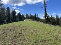 IMG_0541.jpeg