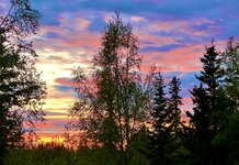 IMG_9935.jpeg