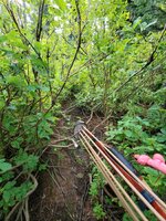20200907_095716.jpg