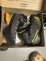 IMG_0998.jpeg