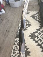 IMG_7372.jpeg