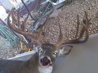 IMG_0061.jpeg