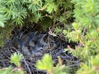 IMG_6909[1].JPG