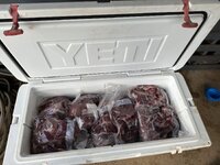 one of several coolers.jpg