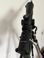 IMG_1691.jpeg