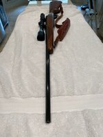 Ruger M77 Hawkeye 25-06 6.jpg