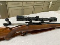 Ruger M77 Hawkeye 25-06 3.jpg