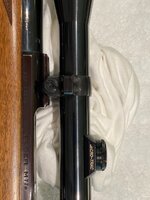 Ruger M77 Hawkeye 25-06 8.jpg