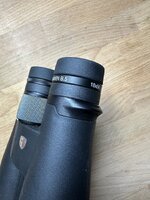 IMG_7517.JPG