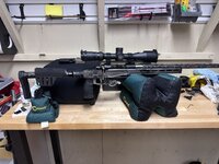 IMG_4331.jpeg