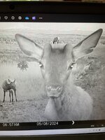 IMG_6674.jpeg