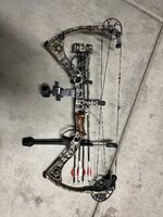 IMG_2230.jpeg