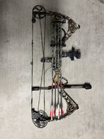 IMG_2229.jpeg