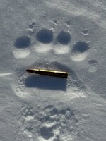 IMG_5277.jpeg