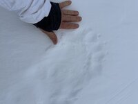IMG_5211.jpeg