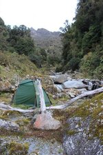 IMG_8752.jpg