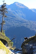 IMG_8774.jpg