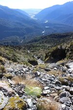IMG_8778.jpg