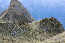 IMG_8782.jpg