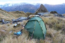 IMG_8785.jpg