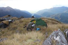 IMG_8784.jpg