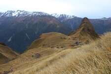 IMG_8796.jpg