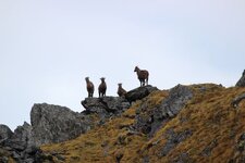 IMG_8858.jpg