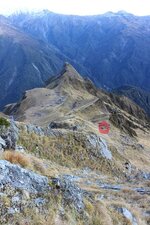 IMG_8905.jpg