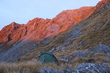 IMG_8923.jpg