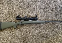 IMG_8789.jpeg IMG_8789.jpeg