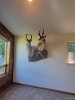 20220718_155953.jpg