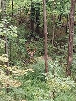 IMG_20200908_201439.jpg
