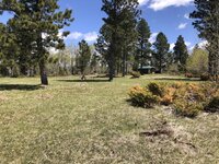 IMG_3264.jpeg IMG_3264.jpeg