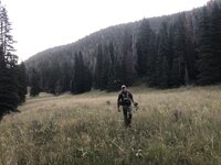 IMG_1846.jpeg