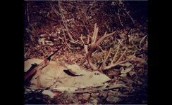 IMG_0615.jpeg
