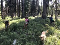IMG_6316.jpeg