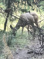 IMG_0428.jpeg