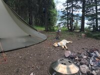 IMG_3012.jpeg