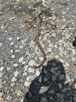 IMG_1447.jpeg