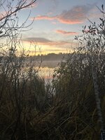 IMG_3751.jpeg
