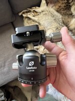 IMG_5103.jpeg