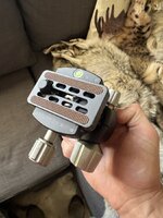 IMG_5104.jpeg