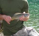 DSCN3766 3.jpg