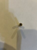 IMG_5392.jpeg