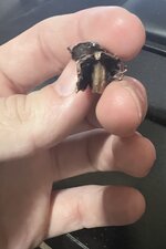 IMG_3225.jpeg