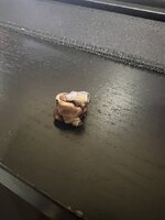 IMG_3224.jpeg