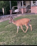 IMG_4521.jpeg