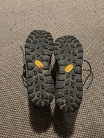 IMG_2442.jpeg