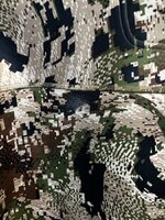 IMG_6148.jpeg