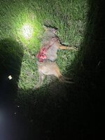IMG_3604.jpeg